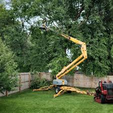 Best Lawn Edging  in Paulding, OH