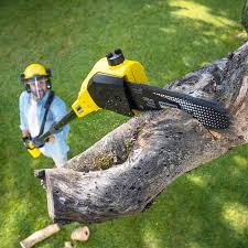 Best Weed Control  in Paulding, OH